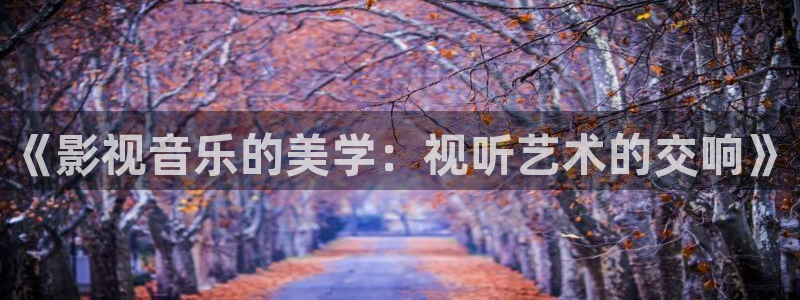 紅桃影院在線一區(qū)二區(qū)觀看：《影視音樂(lè)的美學(xué)：視聽(tīng)藝術(shù)的交響》